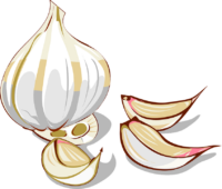 Garlic.png